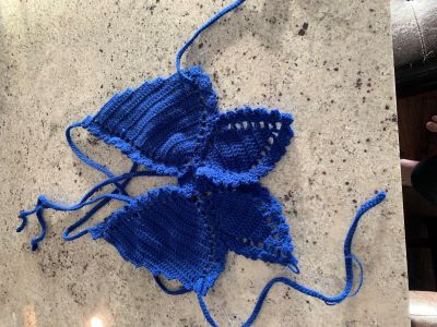 Blue butterfly top