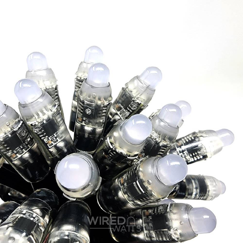 LEDS