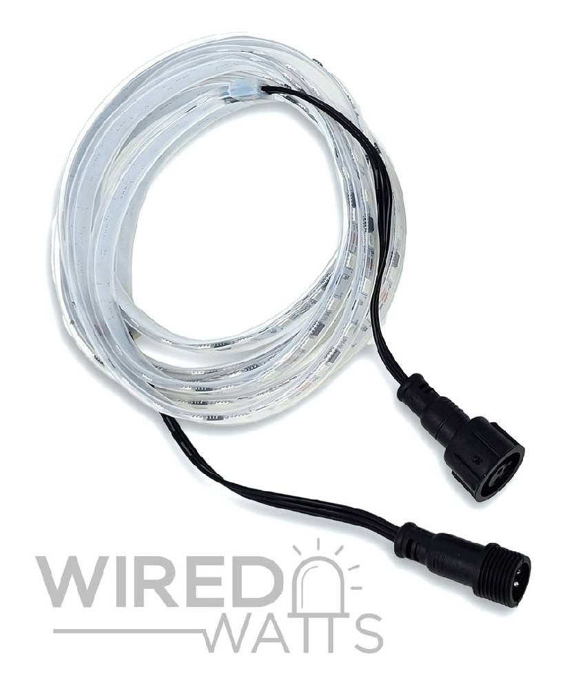 LEDS