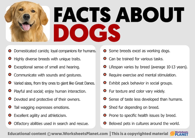 dog facts