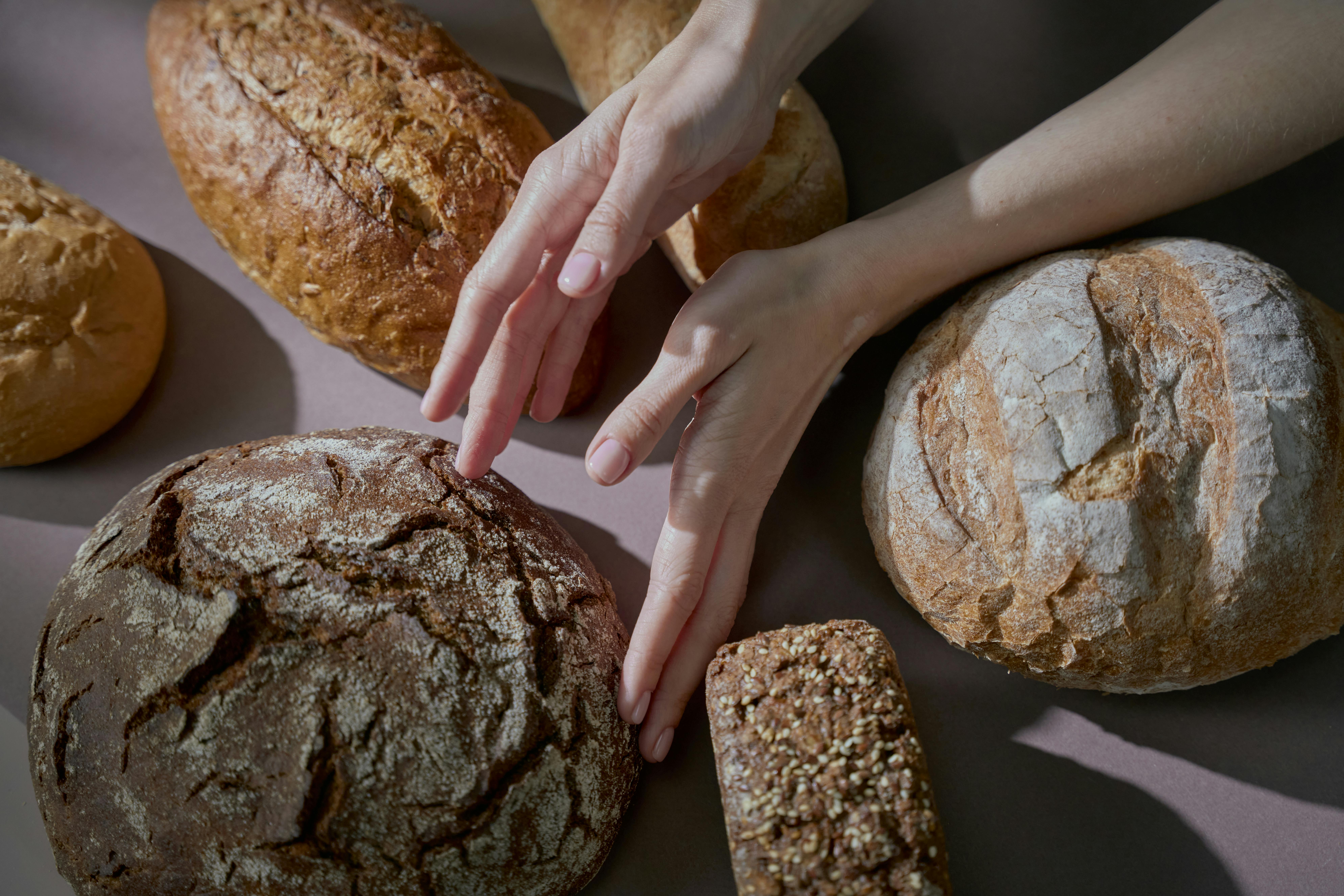sourdough bread